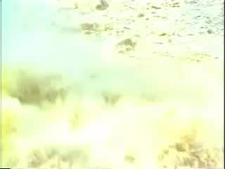 豫剧《呼家将》02 谢庆军、索文化、毛松奇等-演出