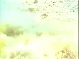 豫剧《呼家将》04 谢庆军、索文化、毛松奇等-演出