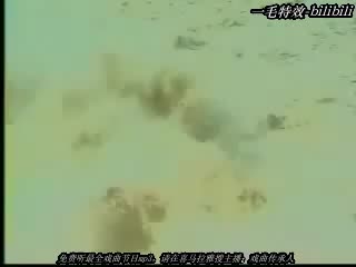 豫剧－断桥－常香玉.flv