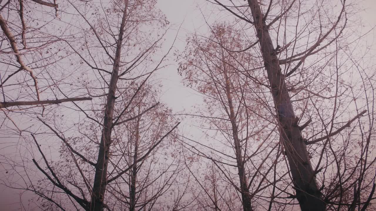 210203 'Can We Talk Again' MV