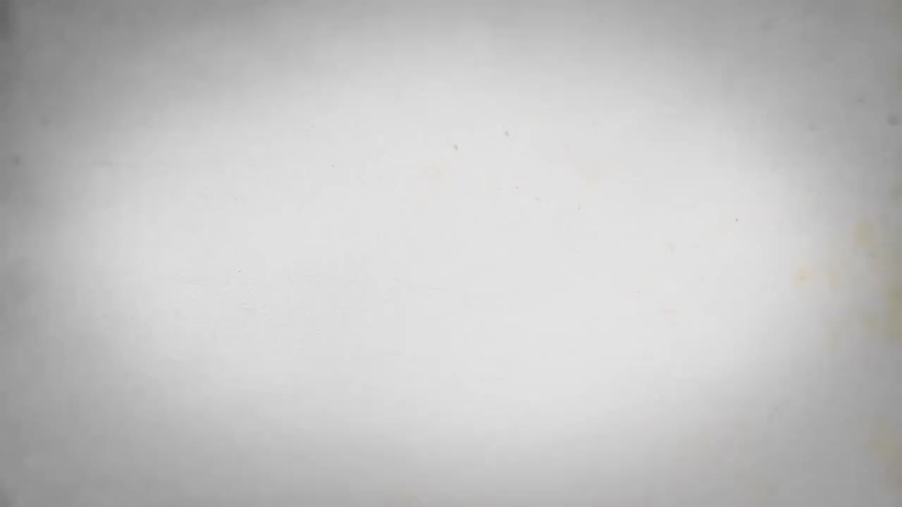 48.第47讲与猫斗其乐无穷