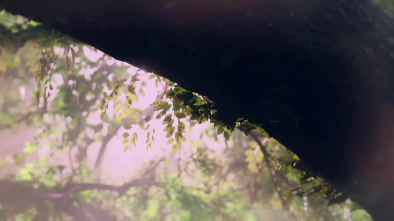 70 《谜》 《武动乾坤》乾坤主题曲