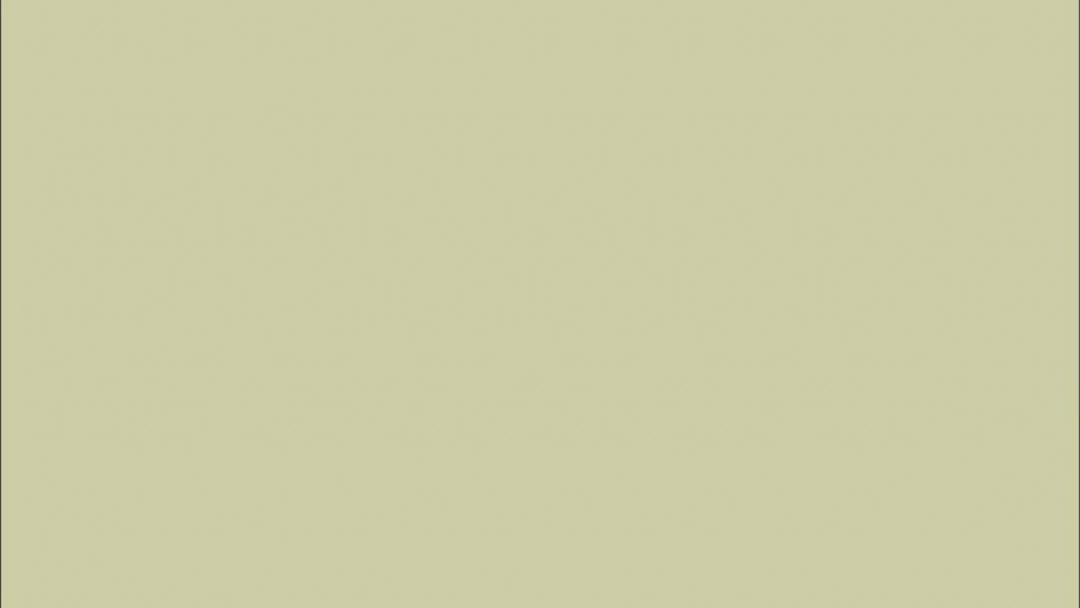 像乌鸦一样思考：第05集 [高清版]-0001