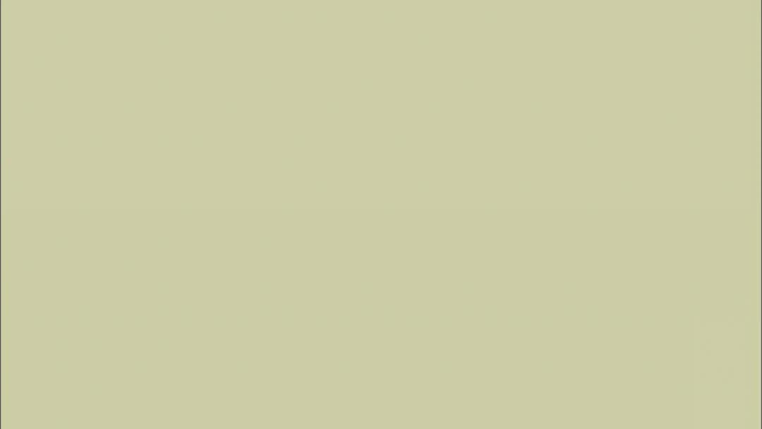 像乌鸦一样思考：第09集 [高清版]