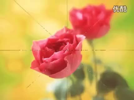 龙女传奇