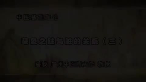 第57讲 藏象之脏与脏的关系（三）