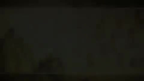 第105讲 病因（十一）