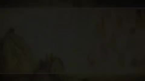 第118讲 病机（十）