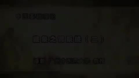 第47讲 藏象之肾系统（二）