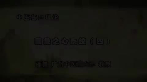 第28讲 藏象之心系统（四）