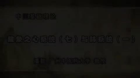 第31讲 藏象之心系统（七）与肺系统（一）