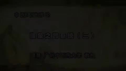 第48讲 藏象之肾系统（三）