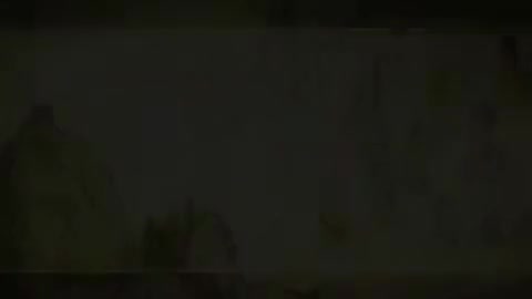 第64讲 精气血津液神（四）