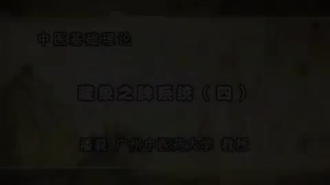 第38讲 藏象之脾系统（四）