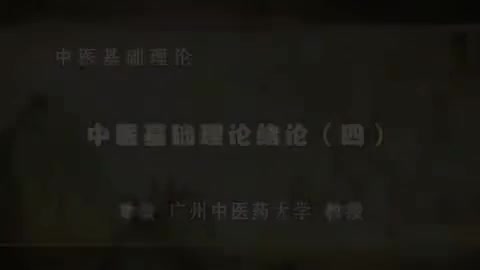 第4讲 中医基础理论绪论（四）