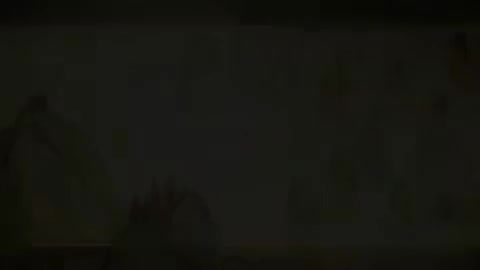 第77讲 经络（三）