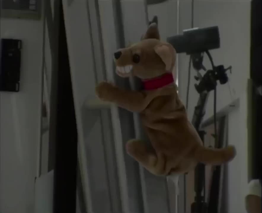 《嘥气 part3》-2005年Hazy:The 144 Hour Project (第二版)