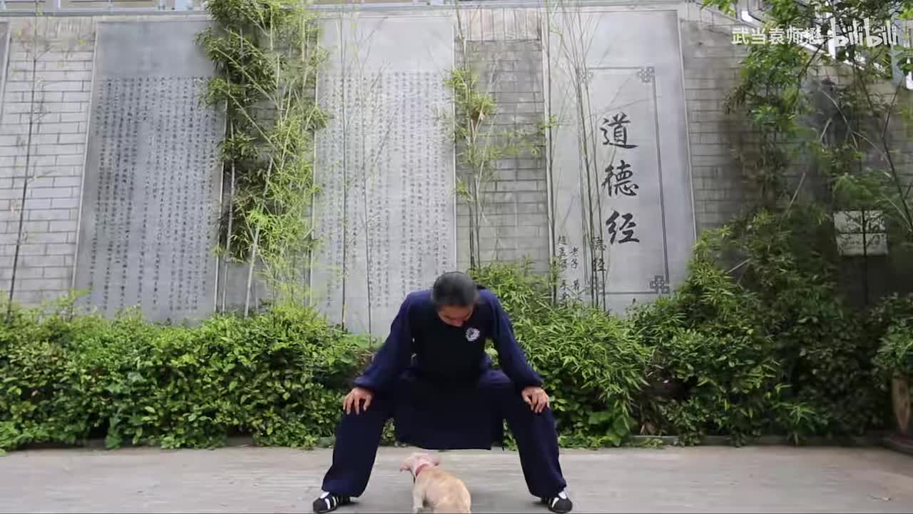 2马步、定步桩功、马步冲拳讲解