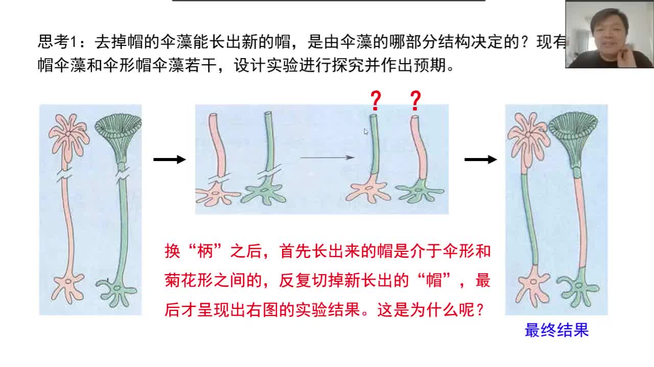 （四）什么是模型