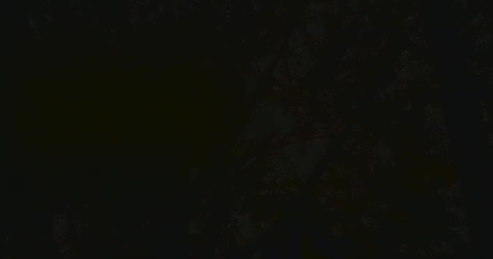 Kiss.-.[因为是女子].MV DVDrip