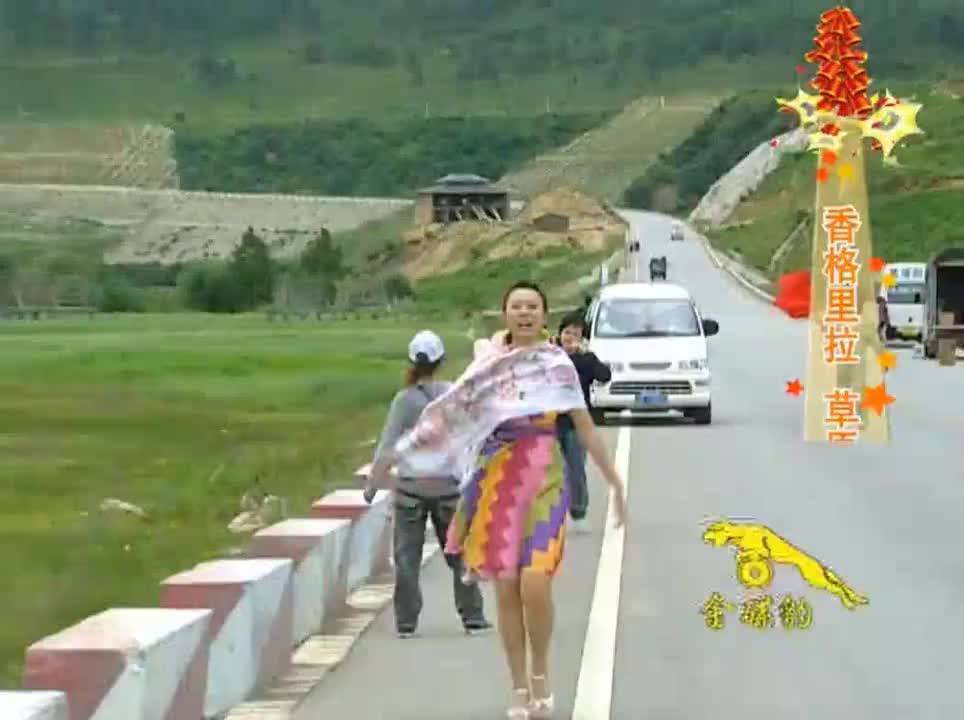 迎春花（粤语）