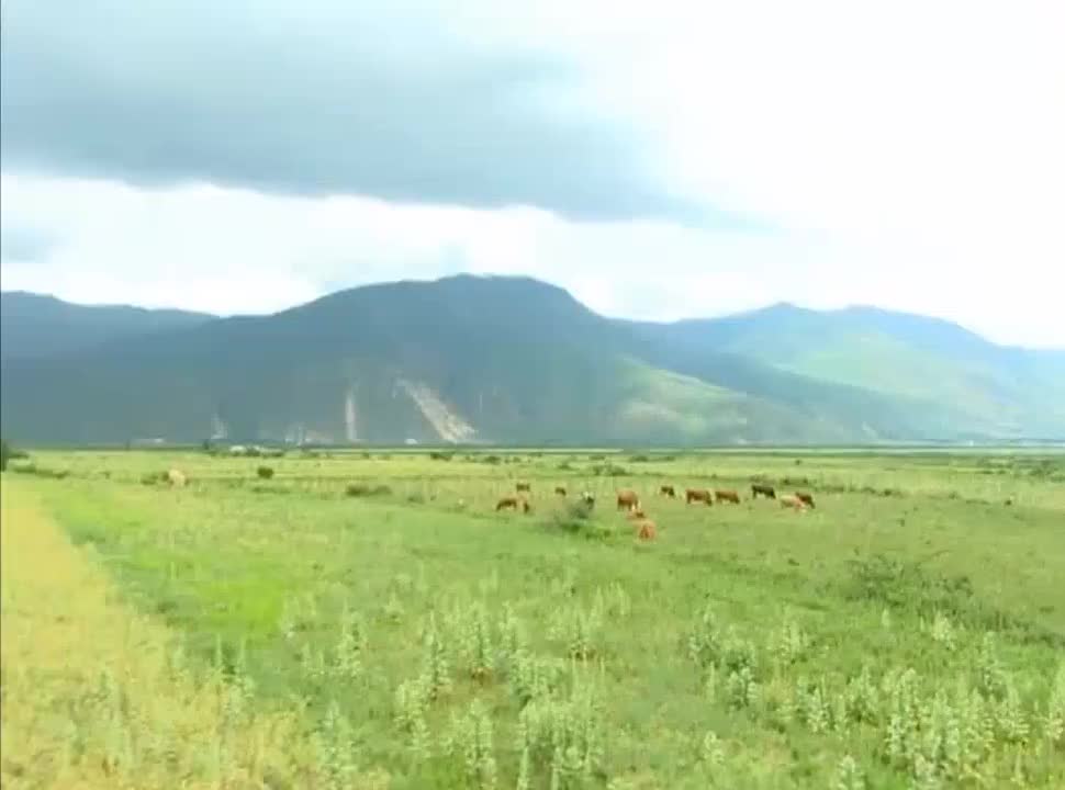 大地回春满庭芳