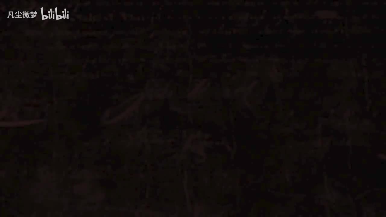 虎式精英01：波卡基村_一个传奇的诞生