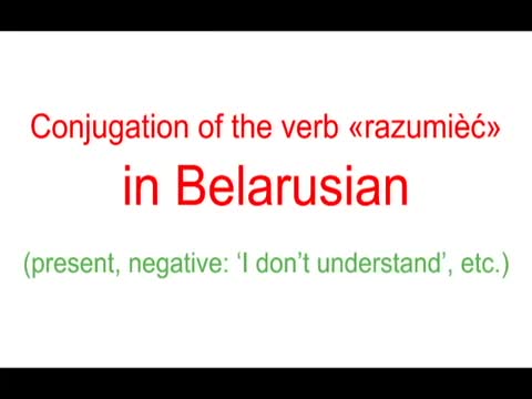 Lesson 2 - Conjugation of the verb 