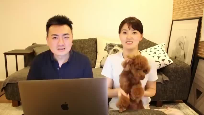 【老高与小茉】 你的血型決定你的命運，O型血最有錢？AB型血最稀少？