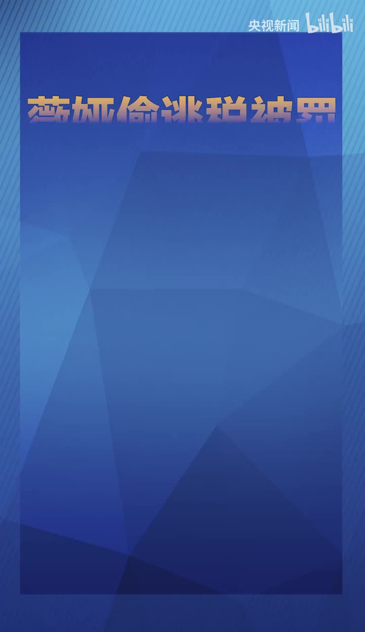 薇娅偷逃税被追缴并处罚款13.41亿元