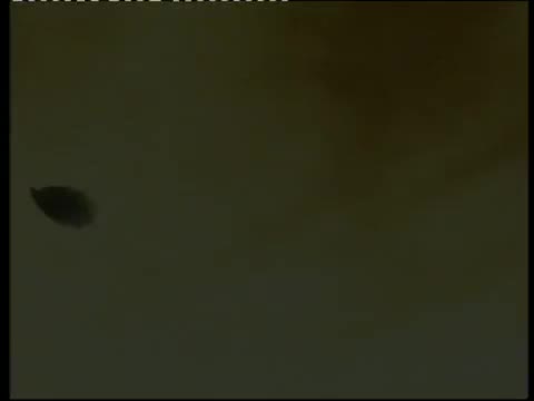 《梅兰芳》 第3集 改良