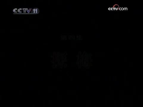 《梅兰芳》 第4集 探梅