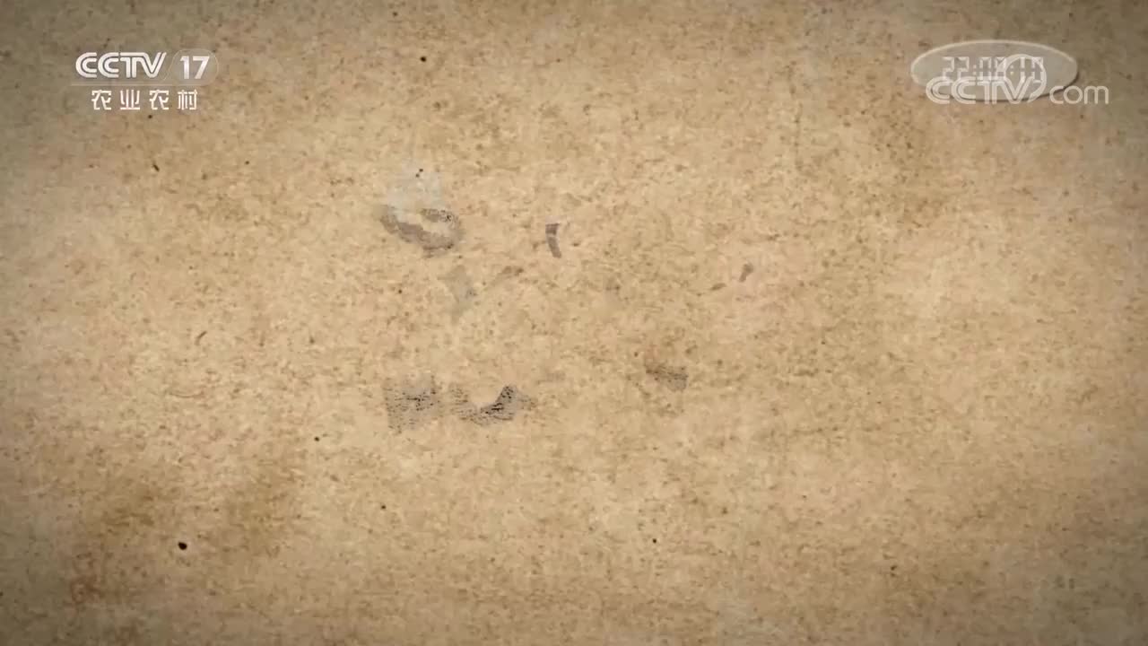 第二集 “海错”不错