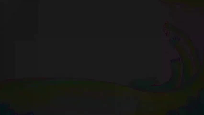 如果我是一只动物-p21-第21集 如果我是猎豹2