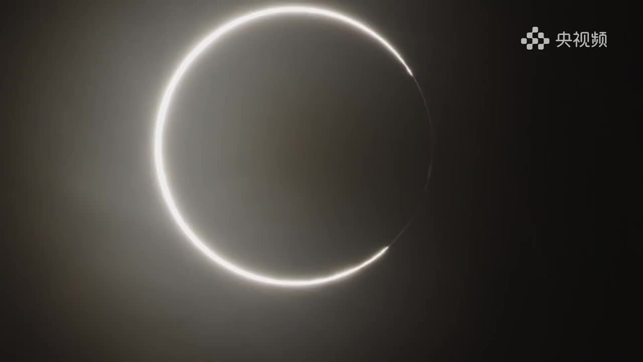 央视频 第2集 昼夜觅生机