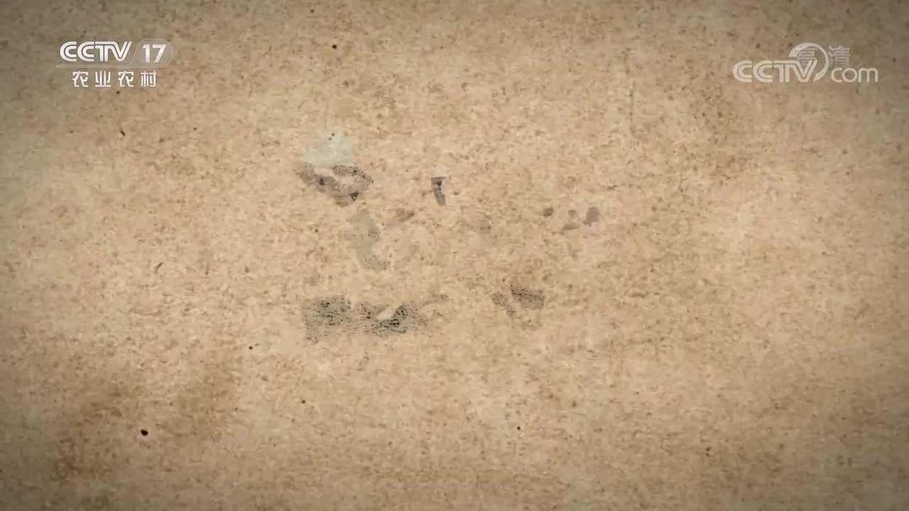 第五集 壁上华彩