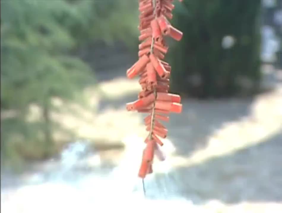 霸气如虹迎新年