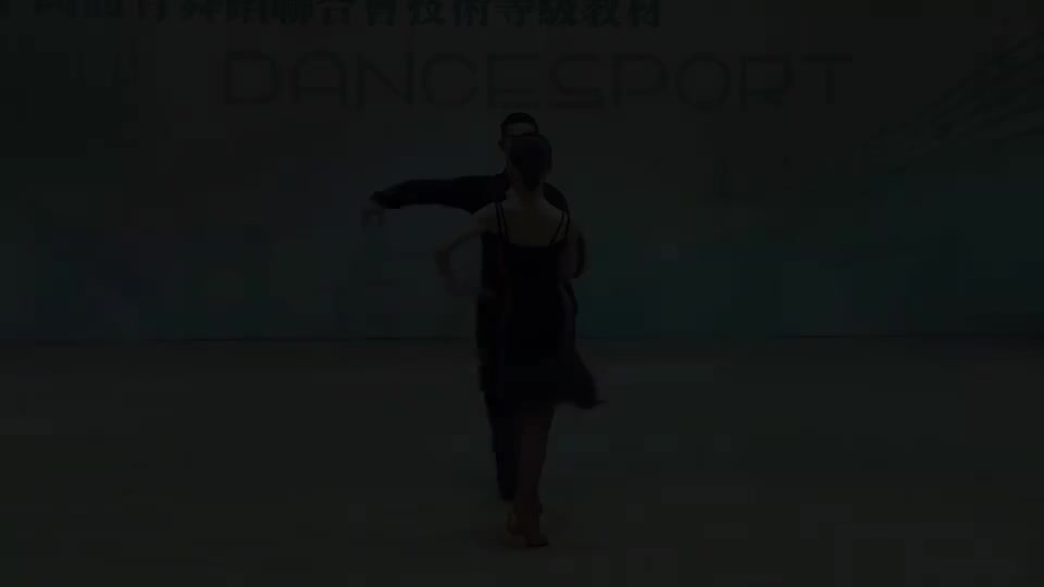 恰恰恰 双人 银牌组合