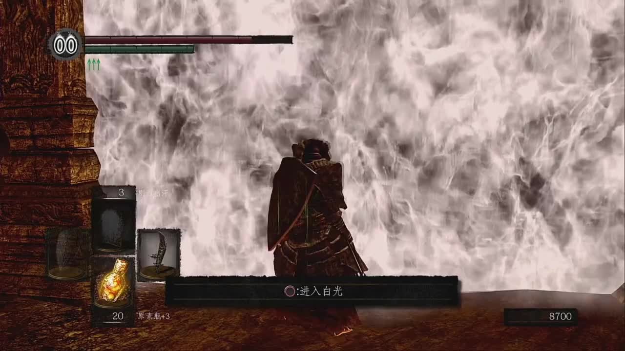 14.持续溃烂的生物