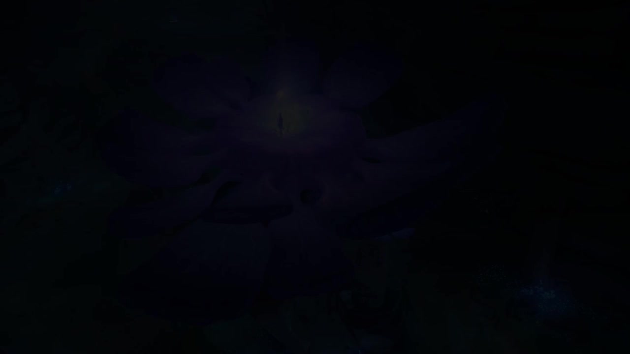 《原神》世界任务——食莲者