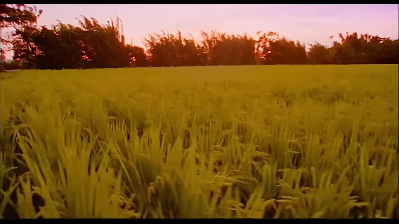 【魔杰座】稻香Ver.2