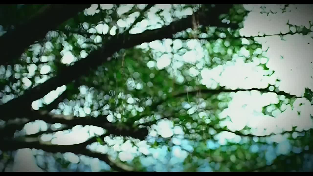 【八度空间】回到过去