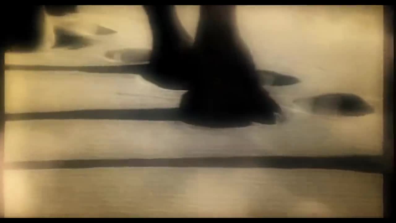 【Jay】印第安老斑鸠