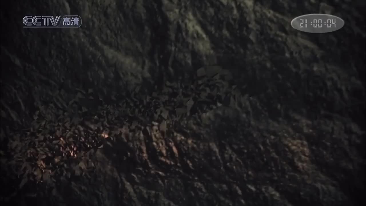 第08集：明暗创新