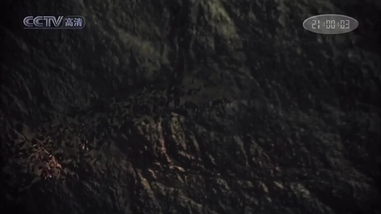 第07集：阳光交易