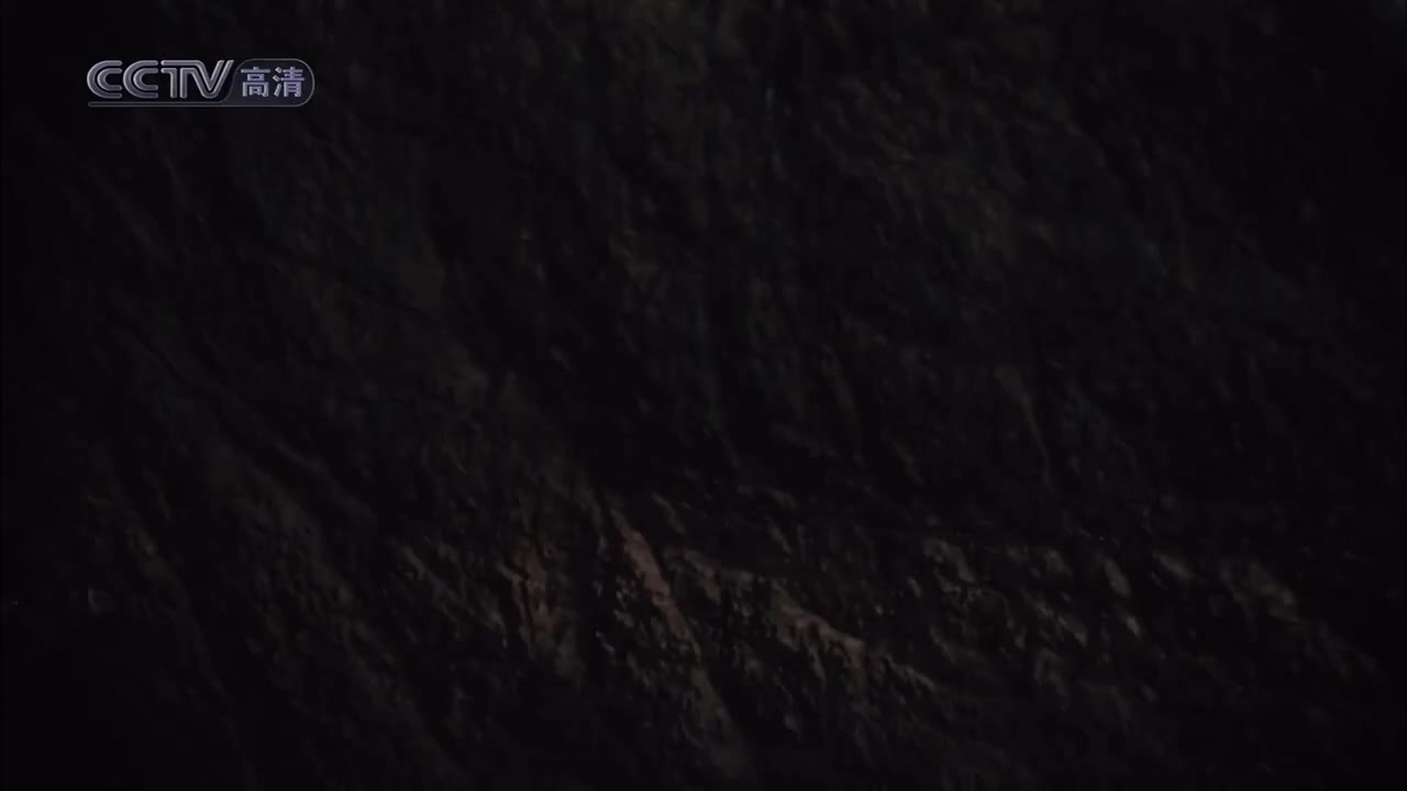 第01集：资本无眠