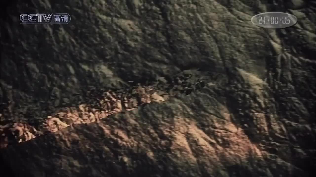 第06集：投资之道