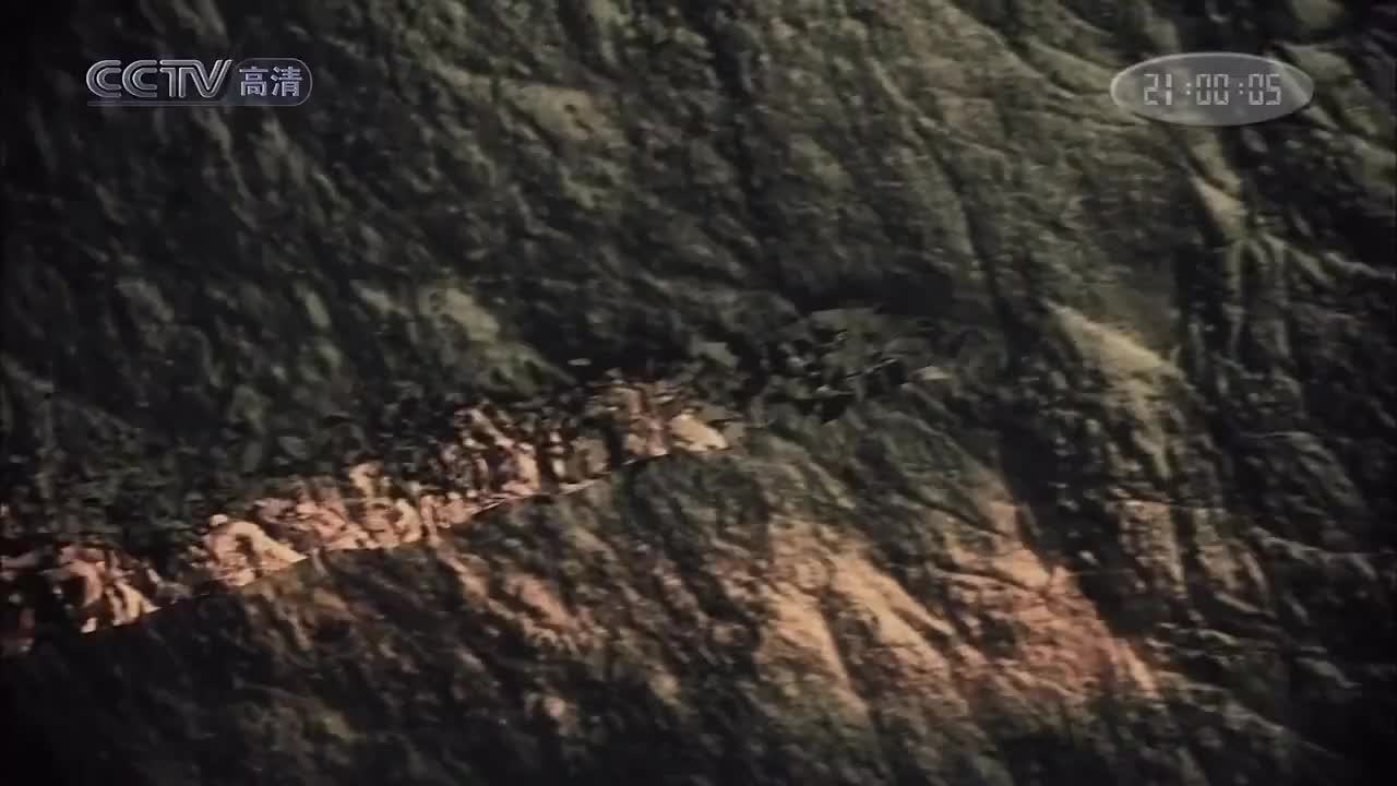 第05集：硅谷方程