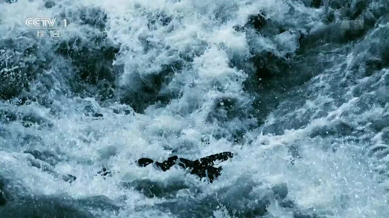 水脉-南水北调 01 奔流不息