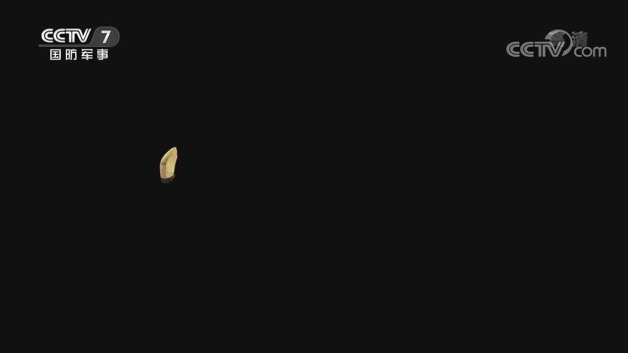 第二集 青春之歌